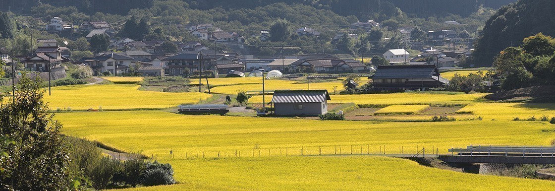 実り豊かな岩国の田舎 実り豊かな岩国の田舎