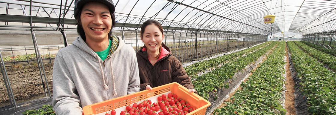 由宇町へ移住してイチゴ農家へ! 由宇町へ移住してイチゴ農家へ!